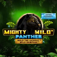 Mighty Panther Slot